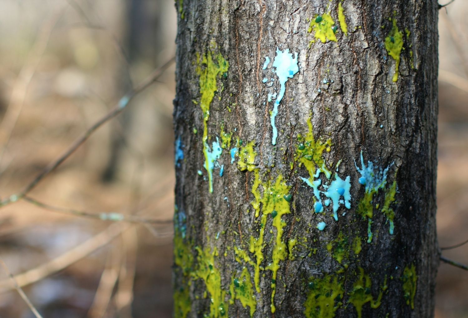 Paintball Bessilles Aventure 7 00008