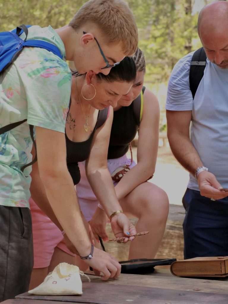 Design sans titre 15.33.23