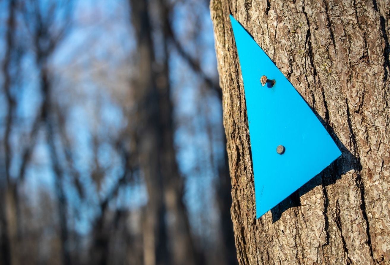 course d'orientation bessilles aventure 00008